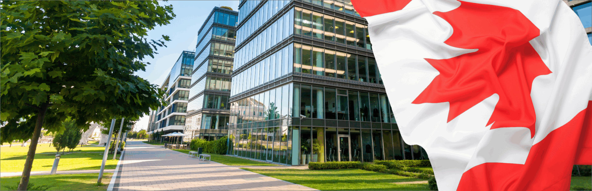 Canada Day with CMS Real Estate